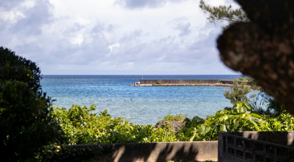 bigfoot stngr yvsc52xdbpq unsplash