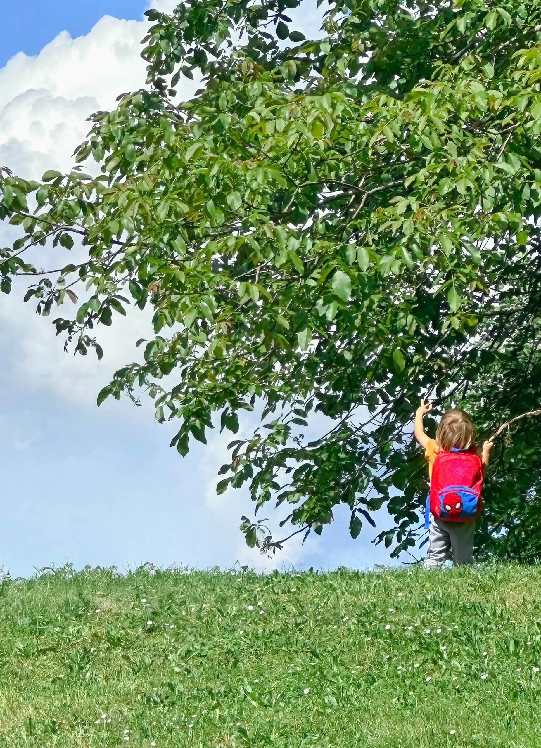 cheng lin xhvdurolbrs unsplash