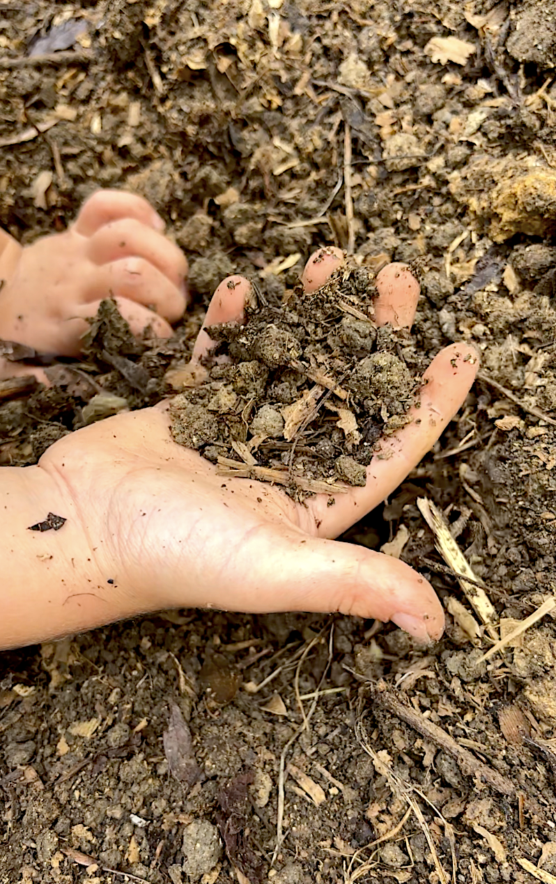 hands in soil